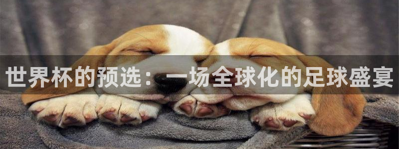 世界杯葡萄牙赛程：世界杯的预选：一场全球化的足球盛宴