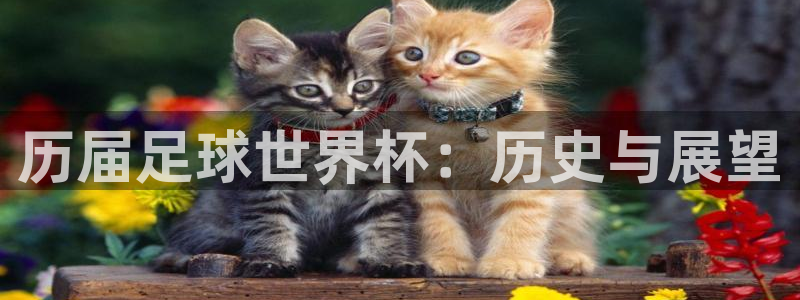 世界杯2026预选赛：历届足球世界杯：历史与展望