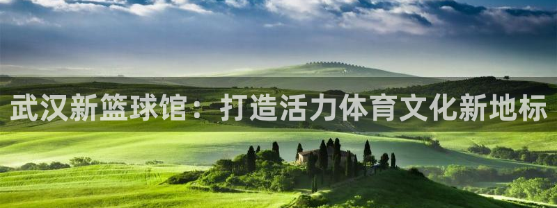 足球世界杯2026：武汉新篮球馆：打造活力体育文化新地标