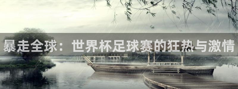 世界杯直播高清：暴走全球：世界杯足球赛的狂热与激情