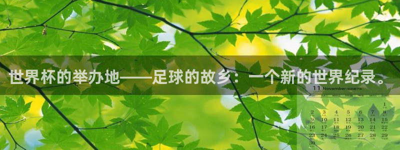 世界杯预选赛排名：世界杯的举办地——足球的故乡：一个新的世界纪录。