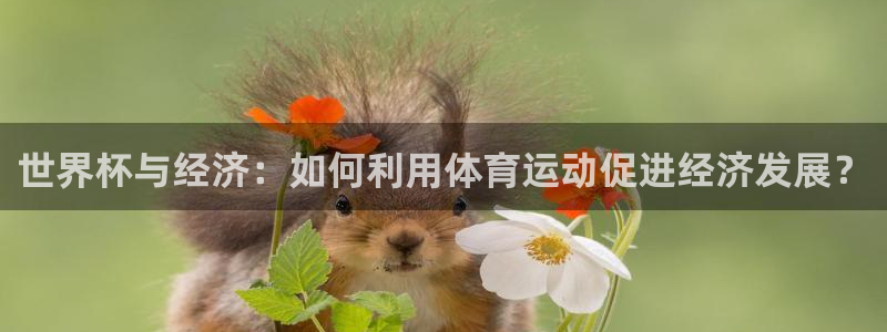 欧洲世预赛赛程表：世界杯与经济：如何利用体育运动促进经济发展？