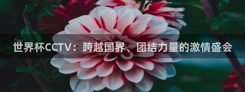 2026世预赛全部赛程：世界杯CCTV：跨越国界、团结力量的激情盛会