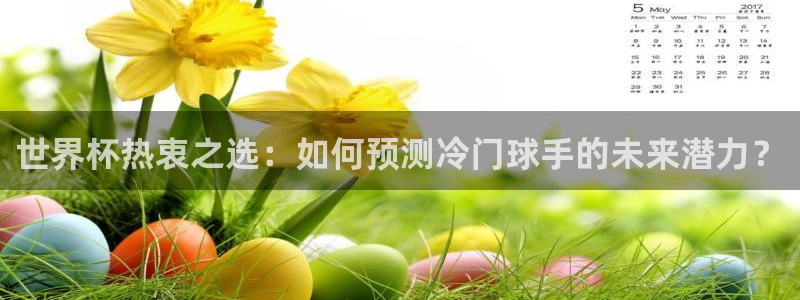 欧洲区世界杯预选赛：世界杯热衷之选：如何预测冷门球手的未来潜力？