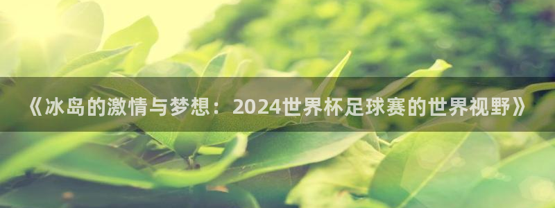 男足世界杯预选赛赛程：《冰岛的激情与梦想：2024世界杯足球赛的世界视野》