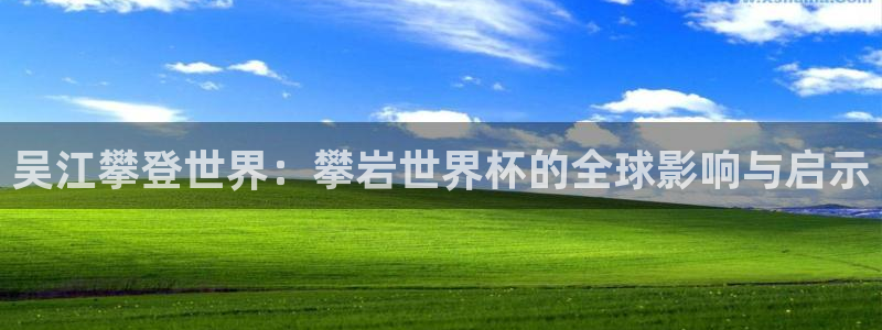 2006年世界杯：吴江攀登世界：攀岩世界杯的全球影响与启示