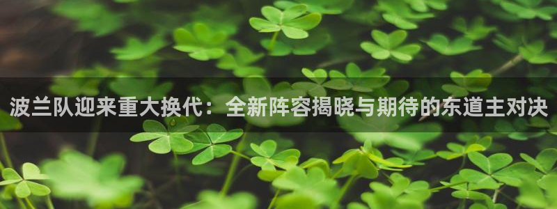 世界杯比赛：波兰队迎来重大换代：全新阵容揭晓与期待的东道主对决